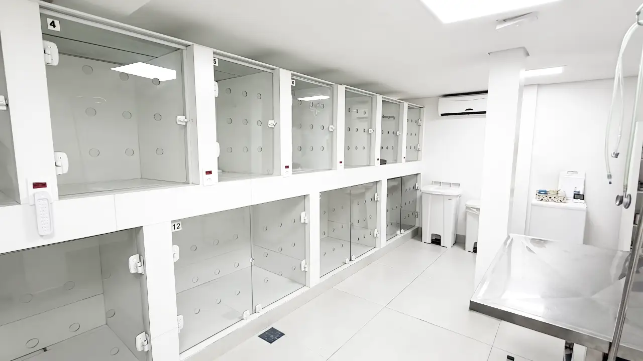 Consultório Veterinário Unidade Butantã